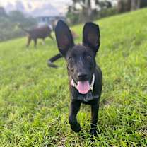 Thumbnail photo of Hannah #2