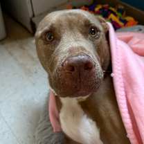 Thumbnail photo of Sprite #1