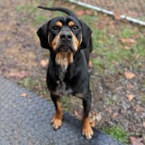 Thumbnail photo of Jimbo #1