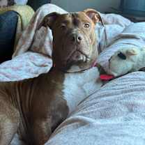 Thumbnail photo of Boy Boy #1