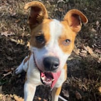 Thumbnail photo of Oakley #1