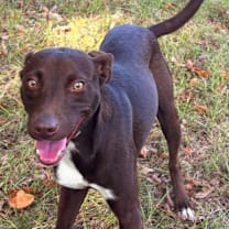 Thumbnail photo of Anne #1