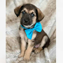 Thumbnail photo of Billy #2