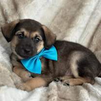 Thumbnail photo of Billy #3