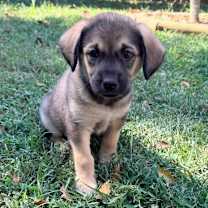 Thumbnail photo of Billy #4