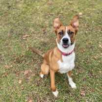 Thumbnail photo of Millie #4