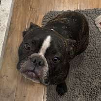 Thumbnail photo of Maverick #3