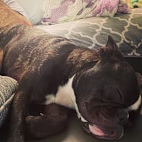 Thumbnail photo of Maverick #2