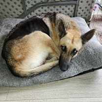 Thumbnail photo of Carli #2