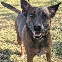 Thumbnail photo of Tex #2