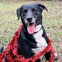 Thumbnail photo of Kenny #2