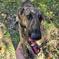 Thumbnail photo of Carolina #2