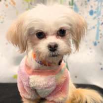 Thumbnail photo of Princess #3