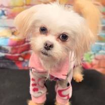 Thumbnail photo of Princess #4