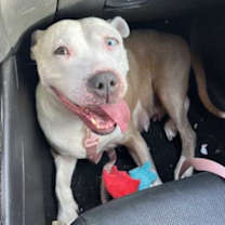 Thumbnail photo of Nancy #2