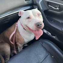 Thumbnail photo of Nancy #3