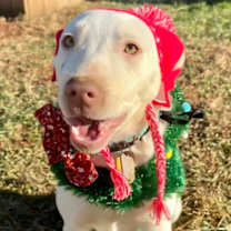 Thumbnail photo of Nyx #2