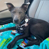 Thumbnail photo of Conrad #1