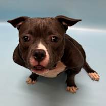 Thumbnail photo of Lottie #3