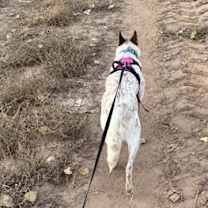 Thumbnail photo of BINGO #3