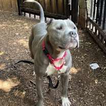 Thumbnail photo of Flex #3