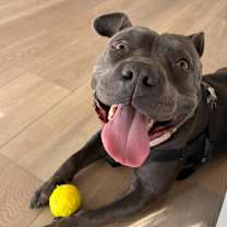 Thumbnail photo of Debra #1