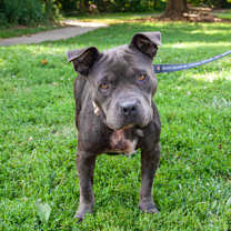 Thumbnail photo of Debra #3