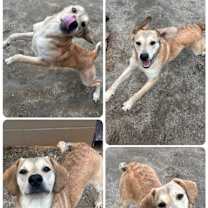 Thumbnail photo of Miles #1