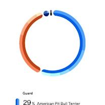 Thumbnail photo of Brett #2