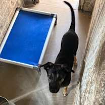 Thumbnail photo of Shadow #2