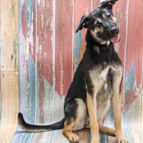 Thumbnail photo of Shadow #3