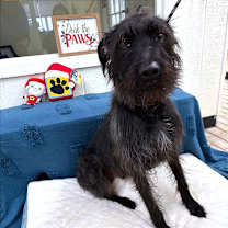 Thumbnail photo of Remington #1