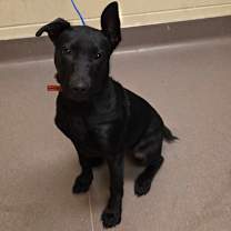 Thumbnail photo of Virginia #2