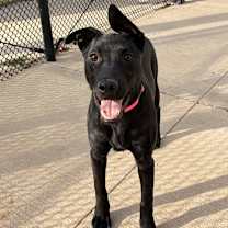 Thumbnail photo of Virginia #3