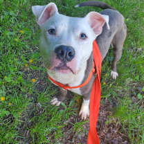 Thumbnail photo of Mr. Worldwide #3