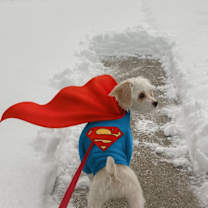 Thumbnail photo of Casper Fairfield #2