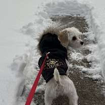 Thumbnail photo of Casper Fairfield #4