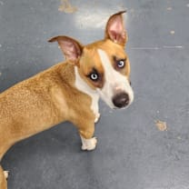 Thumbnail photo of Mortimer #1