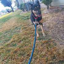 Thumbnail photo of SARA FOSTER #1