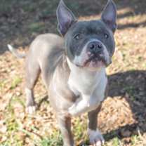 Thumbnail photo of Undertaker #1