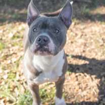 Thumbnail photo of Undertaker #3