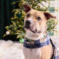 Thumbnail photo of Hunter #1