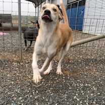 Thumbnail photo of Leroy #1