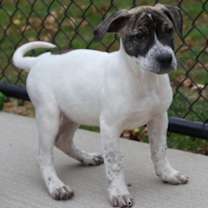 Thumbnail photo of Michelle #2