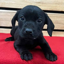 Thumbnail photo of Nina #1