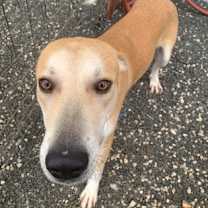 Thumbnail photo of Leroy #2