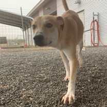 Thumbnail photo of Leroy #3