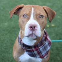 Thumbnail photo of Worthwhile #4