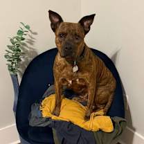 Thumbnail photo of Soda Pop #1