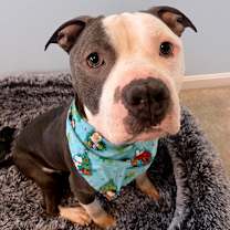 Thumbnail photo of Gumbo #1